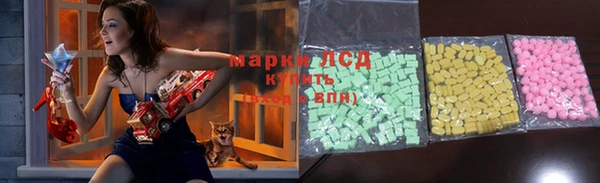 крисы Елабуга