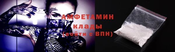 крисы Елабуга