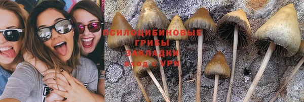 гашишное масло Елизово
