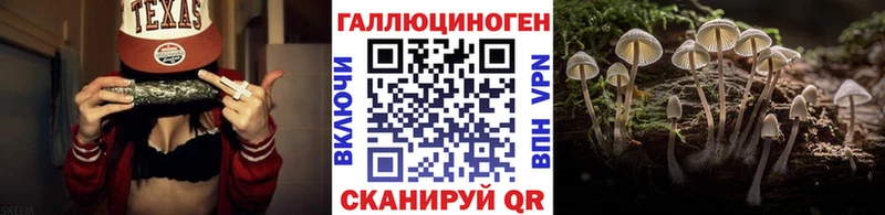 Купить  Липки  Галлюциногенные грибы Cubensis 