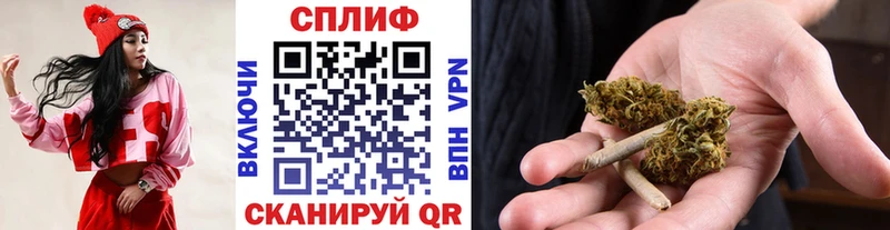 Купить где  Липки  МАРИХУАНА индика 